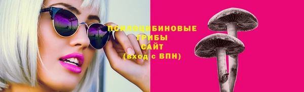бошки Надым