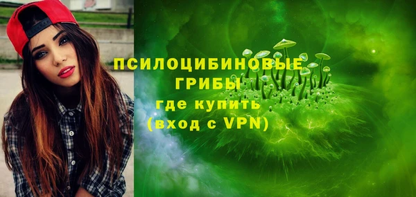бошки Надым